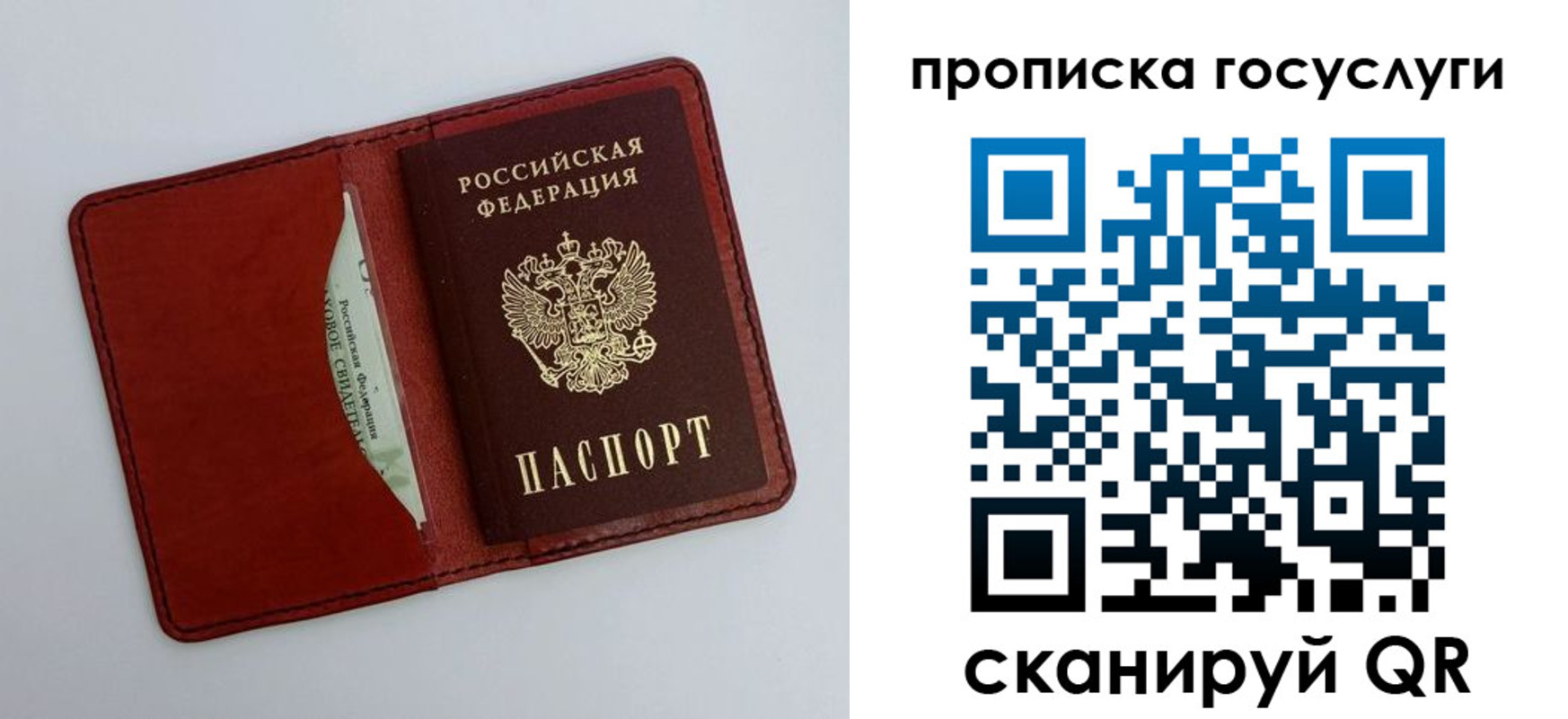 прописка паспорт в Курской области