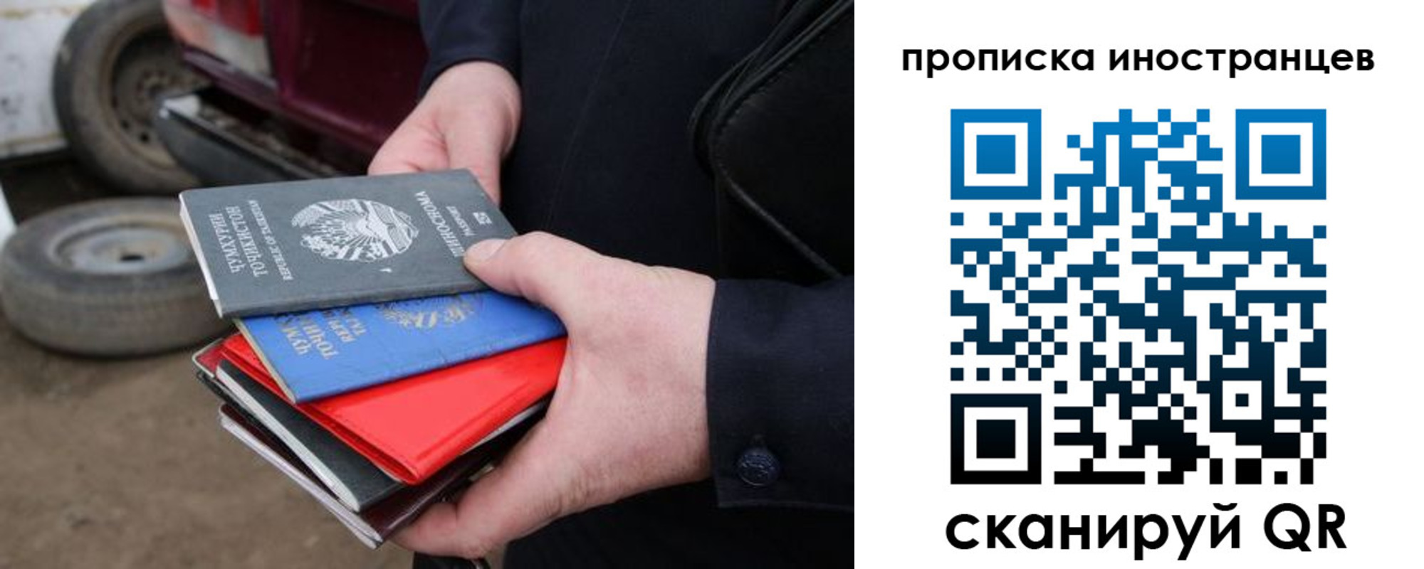 регистрация в Курской области